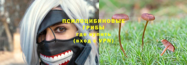 mdpv Магас