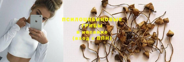 mdpv Магас