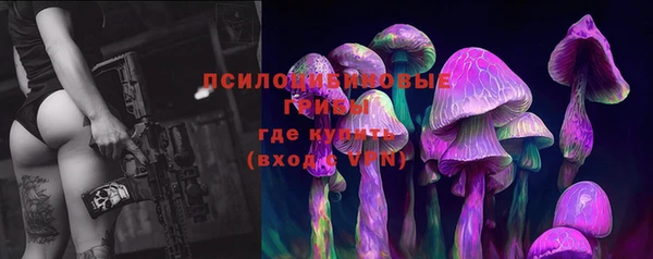 хмурый Майский