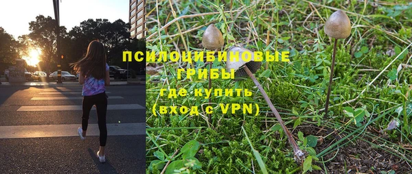 mdpv Магас