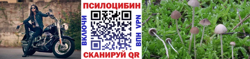 Галлюциногенные грибы Magic Shrooms  Щёлкино 